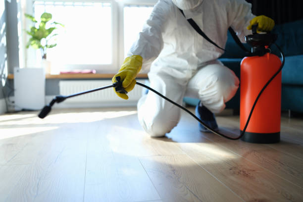Reliable Odor Removal contractor in Lockeford, CA by Trauma Clean Pros